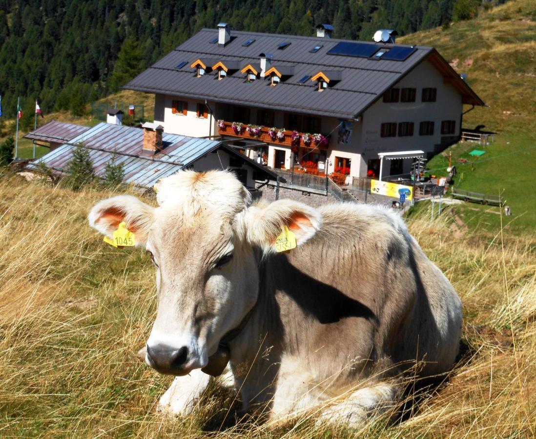 פלקאדה Rifugio Capanna Passo Valles מראה חיצוני תמונה